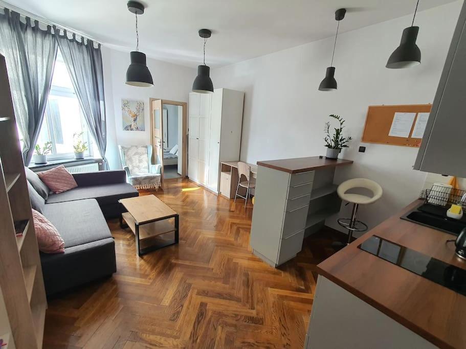 Apartament Przy Szkole Filmowej, Darmowy Parking Лодзь Экстерьер фото